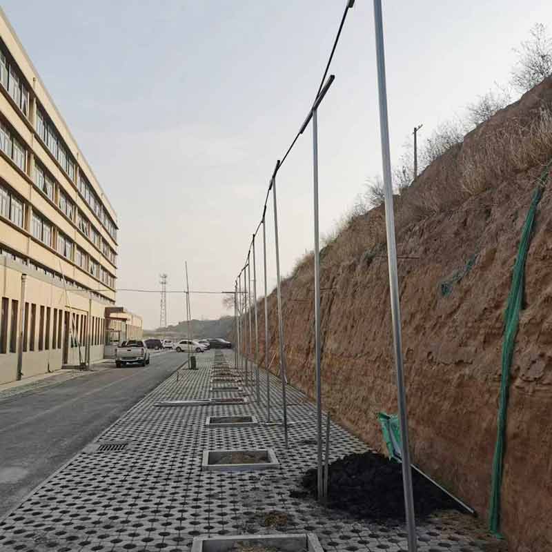 2025年新澳门正版资料大全公开